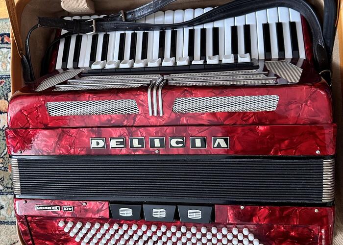 Grajewo ogłoszenia: Sprzedam akordeon Delicia, 120 basów. Więcej informacji udzielę...